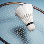 M&Q List Version 1 – 65+ – All India Masters Ranking Badminton Tournament 2025 At Panchkula